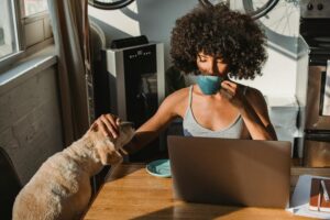 building a successful venture