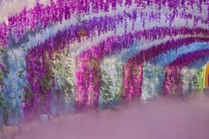 wisteria symbolizes profound sorrow